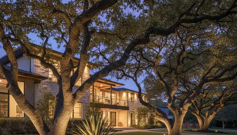 Dramatic tree uplighting at night by Chop Chop Landscaping in Austin, TX highlighting mature trees and yard design