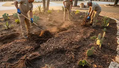 Applying organic compost and natural fertilizers to landscape beds in Austin, TX for healthy soil